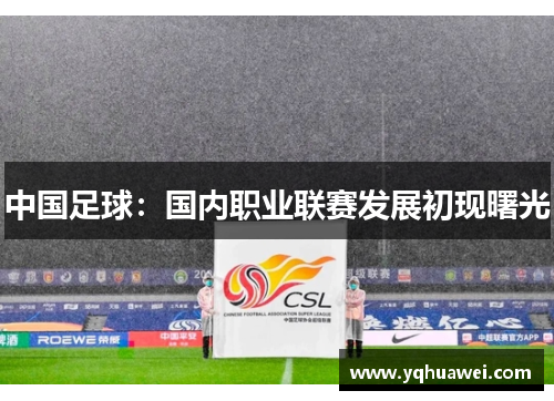 中国足球：国内职业联赛发展初现曙光
